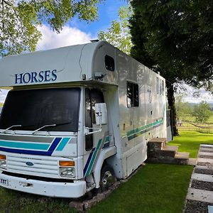 Dobbin The Horse Box In The Lake District Кокермут Exterior photo