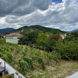 Готель Alsacebnb - Gite 12 Personnes Dans Le Vignoble - Piscine Privee & Spa Аммершвір Exterior photo