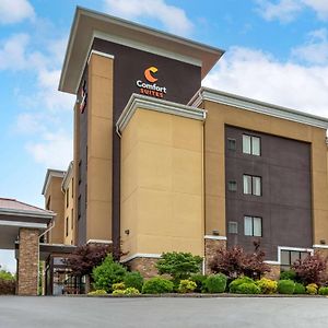 Comfort Suites Кінгспорт Exterior photo