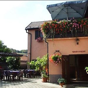 Restaurace A Penzion Na Ruzku Morina Exterior photo