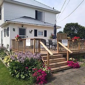 Гостьовий будинок The Coastal Country House In New Brunswick Cape Tormentine Exterior photo