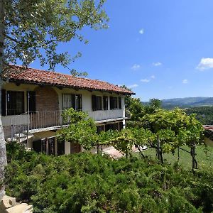 Cascina Flino - Tra Le Vigne - Appartamento 2 Альба Exterior photo