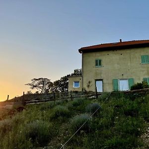 Вілла Agriturismo Cascina Cornelli Сасселло Exterior photo