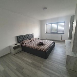 Апартаменти Apartament Nicole Куртя-де-Арджеш Exterior photo