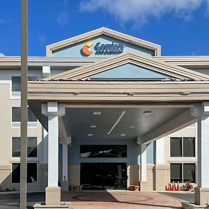 Comfort Inn & Suites Sarasota I75 Exterior photo