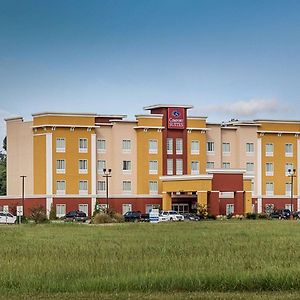 Comfort Suites Near Tanger Outlet Mall Ґонзалес Exterior photo