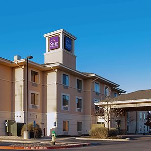 Sleep Inn & Suites Гоббс Exterior photo