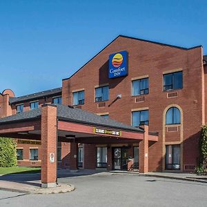 Comfort Inn Порт-Гоп Exterior photo