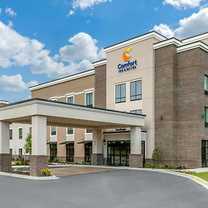 Comfort Inn & Suites Флоренс Exterior photo