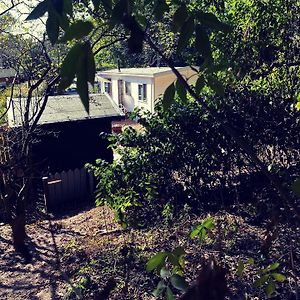 Вілла Heerlijk Bos Chalet Met Ongekende Rust En Vrijheid Нюнспет Exterior photo