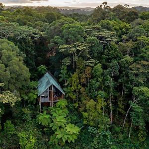 Вілла Rose Gums Wilderness Retreat Butchers Creek Exterior photo