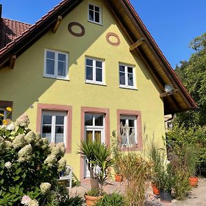 Appartement Auf Dem Gutshof Клінгенмюнстер Exterior photo