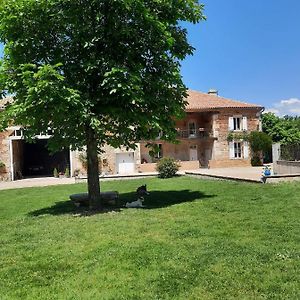 Bed and Breakfast L'Oree Des Bois Chambre Chene Negrepelisse Exterior photo