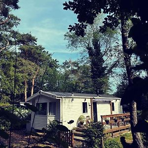 Вілла Knus Chalet Midden In De Bossen Нюнспет Exterior photo