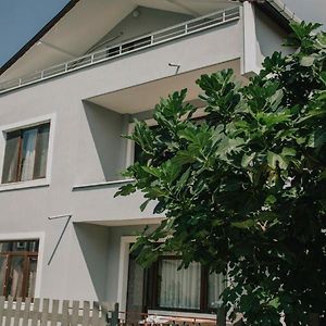 Готель Agva Marina House Стамбул Exterior photo