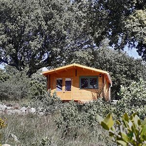 Вілла Le Chalet Saint-Jean-de-Minervois Exterior photo