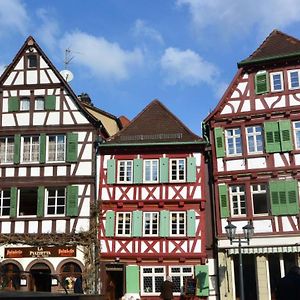 Апарт готель Gaestehaus Am Marktbrunnen Бреттен Exterior photo