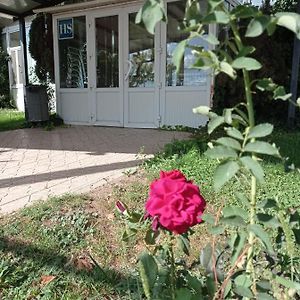 Hostal Brin Монреаль-дель-Кампо Exterior photo