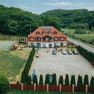 Bed and Breakfast Pensiunea Si Restaurant Erdo Одорхею-Секуєск Exterior photo