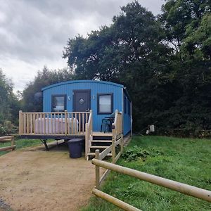 Large Glamping Hut - Riverview 13 Велшпул Exterior photo