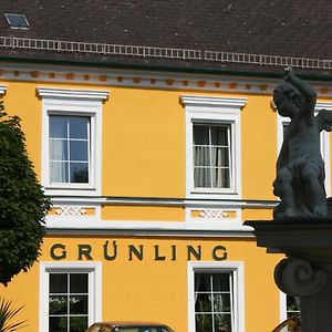 Готель Gasthof Gruenling Wallsee Exterior photo