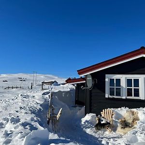 Вілла Seterhytte I Havsdalen Гейло Exterior photo