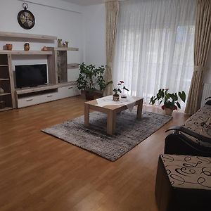 Cosy Apartment I Тиргу-Муреш Exterior photo