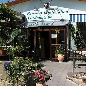 Готель Pension Lindenallee Neuendettelsau Exterior photo