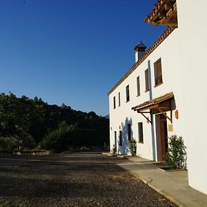 Вілла Hacienda Molino Nuevo Альгодоналес Exterior photo
