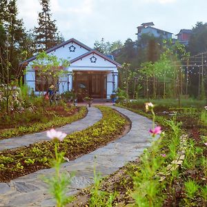 Thanh Truc Villa & Flower Шапа Exterior photo