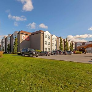 Best Western Plus Rose City Suites Велланд Exterior photo