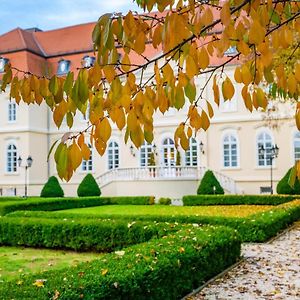 La Contessa Castle Hotel Сільвашварад Exterior photo