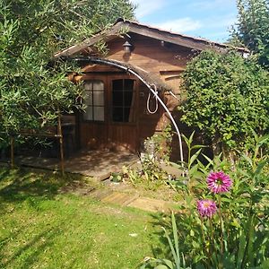 Готель Le Chalet Du Jardin Cache Марманд Exterior photo