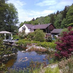 Готель Urlaubspension Die Muehle Schollnach Exterior photo