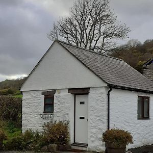 Вілла Y Llew Bach, The Tiny House Gwytherin Exterior photo