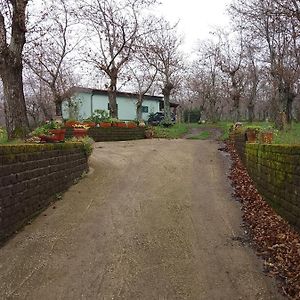 Вілла Chalet Immerso Nel Bosco Мельфі Exterior photo