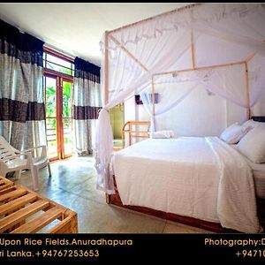 Bed and Breakfast Heaven Upon Rice Fields Анурадхапура Exterior photo