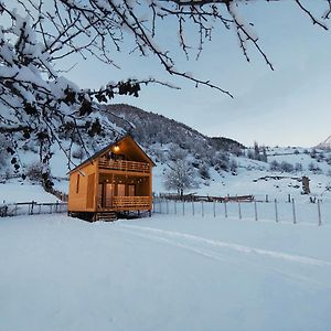 Гостьовий будинок Wood House Местія Exterior photo