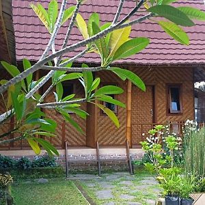 Mysha Guest House-Lombok Тетебату Exterior photo