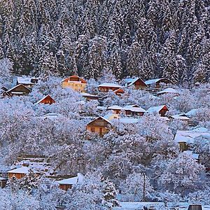 Готель Friendly House Боржомі Exterior photo