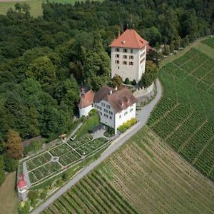 Ferienwohnung Schloss Heidegg Gelfingen Exterior photo