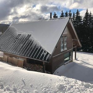 Вілла Mountain Chalet Корженов Exterior photo