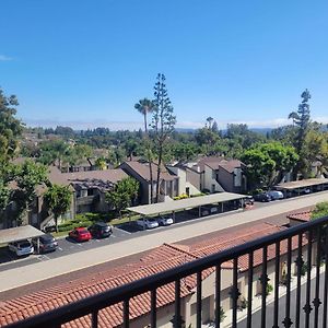 Southern California Living, Sun, Fun, And Dinning. Лаґуна-Гіллс Exterior photo