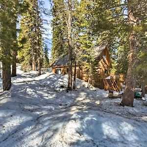 Вілла Bear Valley Cabin - Ski To Cross Country Trails! Tamarack Exterior photo