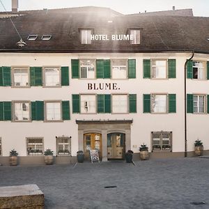 Blume Baden Hotel & Restaurant Баден Exterior photo