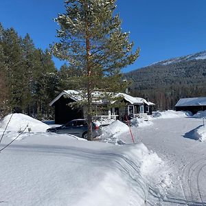 Nymon Mountain Lodge Стьотен Exterior photo