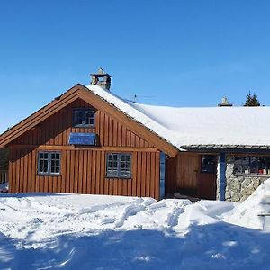 Вілла Cozy Log Cabin At Beautiful Nystolsfjellet Каґолоґоло Exterior photo