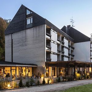 Hotel Luisenpark Бад-Бергцаберн Exterior photo