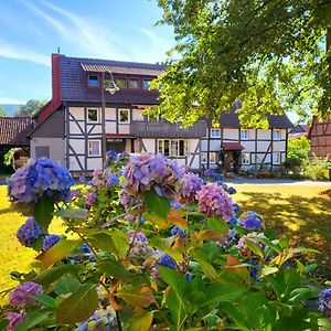 Апартаменти Gaestehaus Am Weser-Radweg Munden  Exterior photo