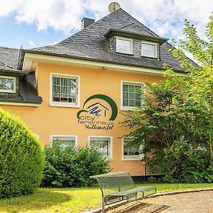 Вілла City Ferienhaus Vulkaneifel Даун Exterior photo